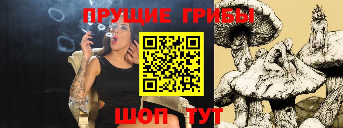 Галлюциногенные грибы Psilocybine cubensis  где купить наркотик  Галлюциногенные грибы Psilocybe  Урай  Вход с VPN 